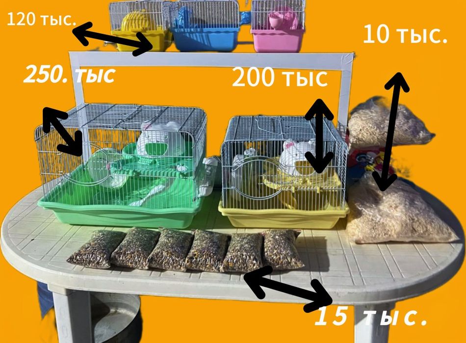 Сирийские хомячки