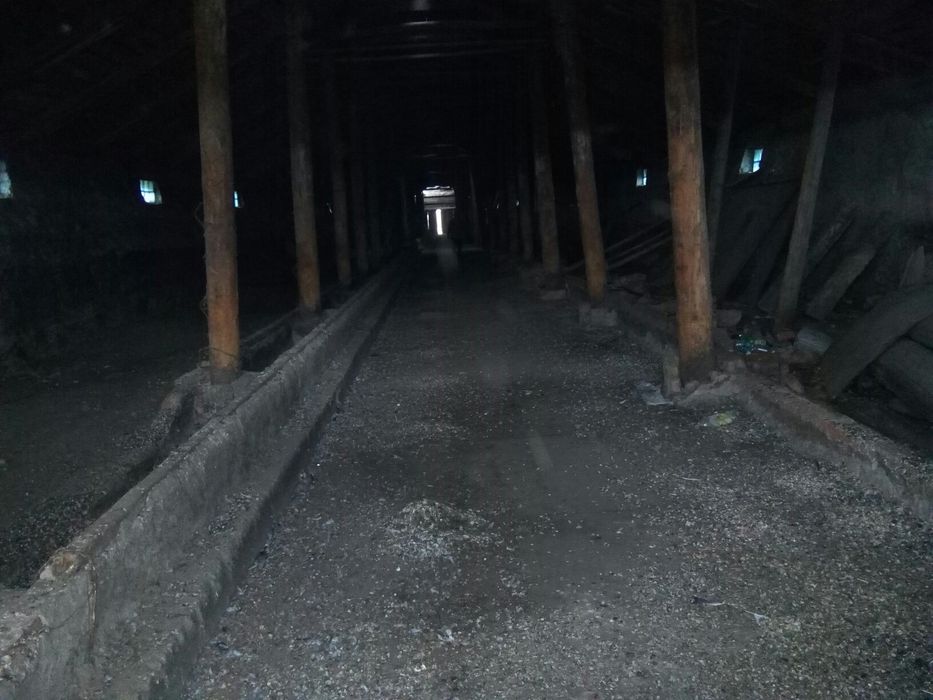 Продам дворы сСекисовка