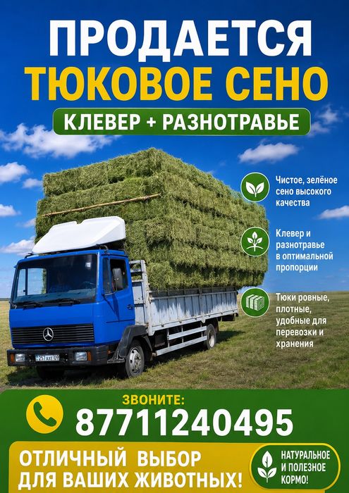 Продам сено  шөп тюк көк шөп