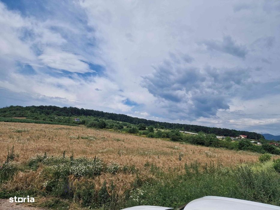 Intravilan 5981 mp, Barsau/HD Schimb cu apt. 2 cam Deva sau Hunedoara.