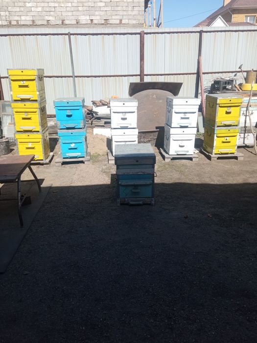 Продам рутовские ульи в комплекте -20 000т.   Всё для пасеки:сушь .