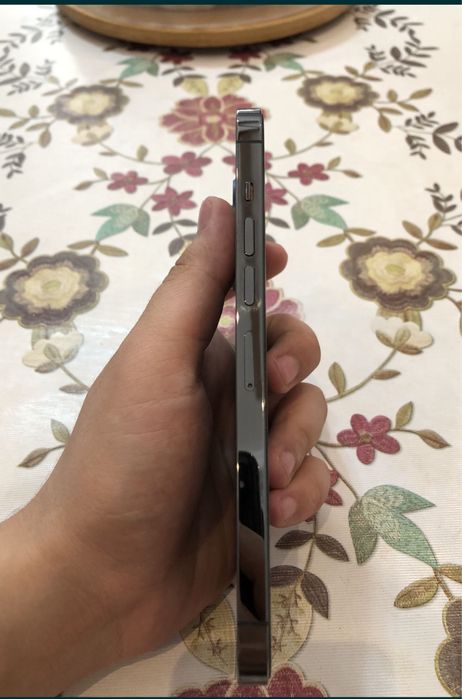 Iphone 13 pro max srochni