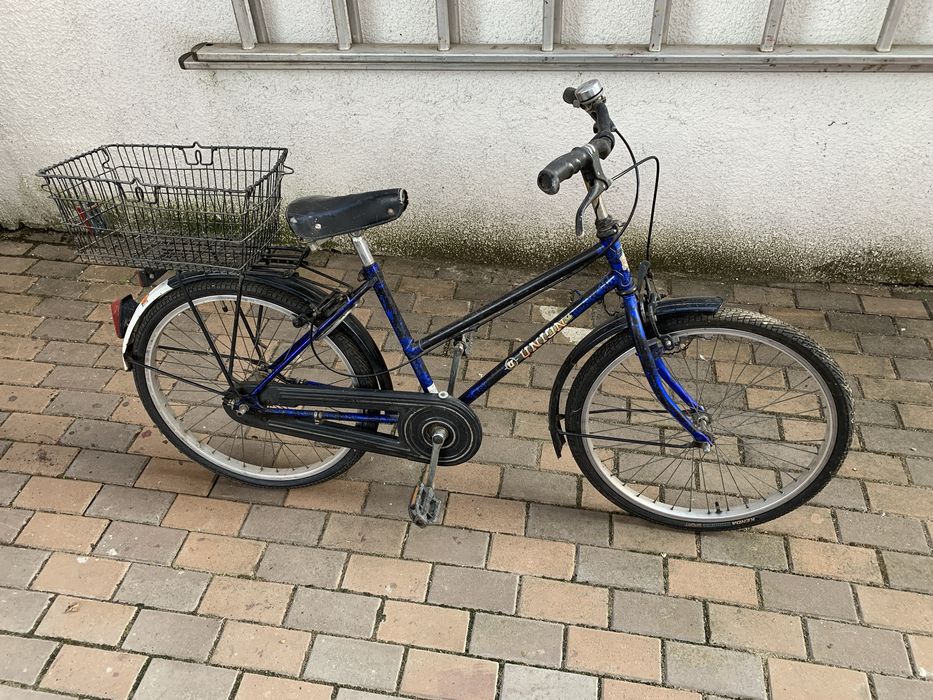 Bicicleta de oras, cu coş metalic