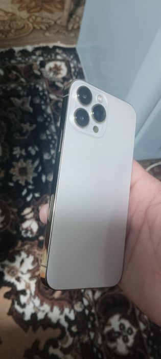 iPhone 13 pro max