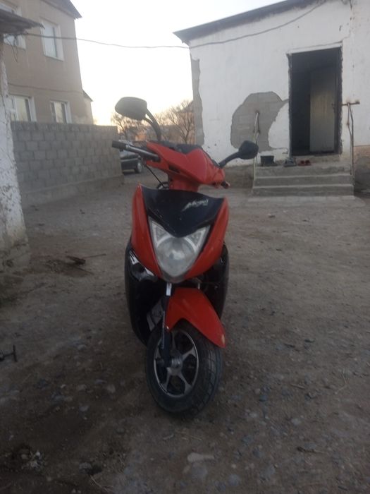 Мапеті 125куп зың