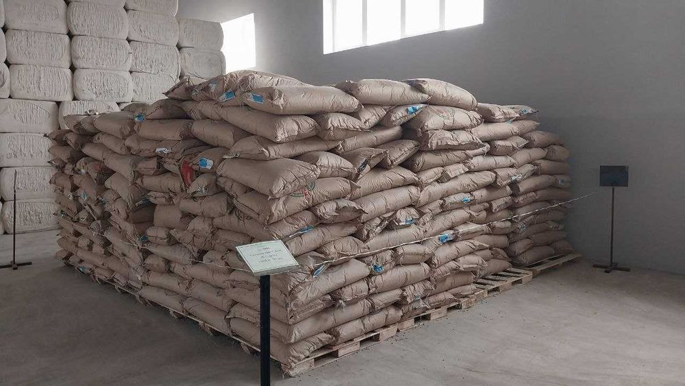 Urug'lik chigit (Tindirilgan)