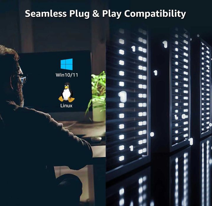 Placă de rețea PCIe 10GB