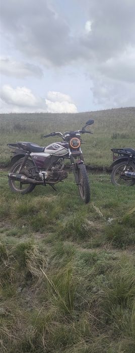 Продам мопед alpha rx