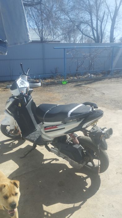 Скутер 150кубов педа