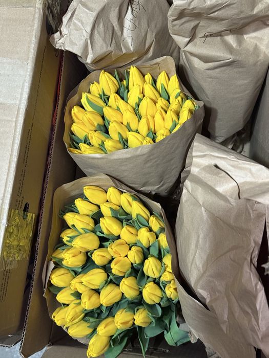 Тюльпаны оптом и в розницу