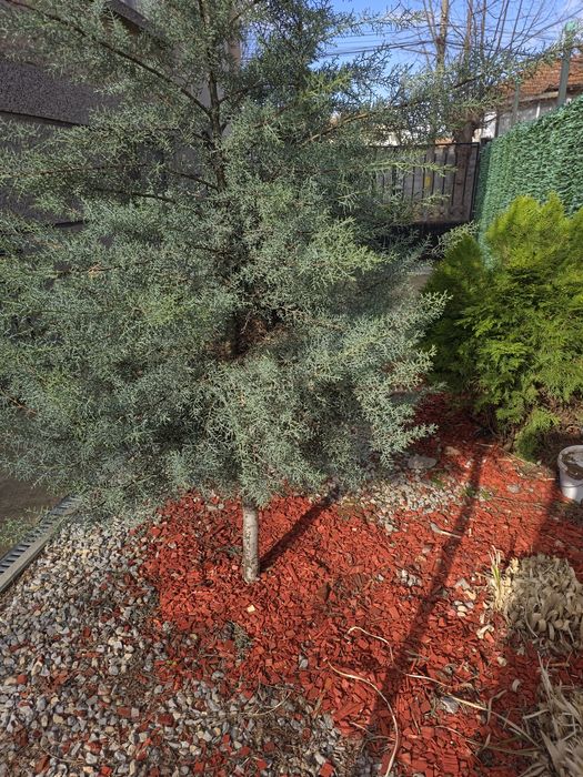 Продава се  3 етажна къща със приземен етаж  108 квадрата на етаж.