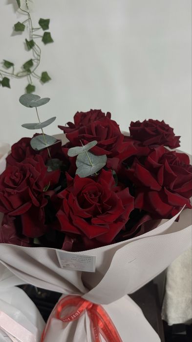 продам цветы свежие.