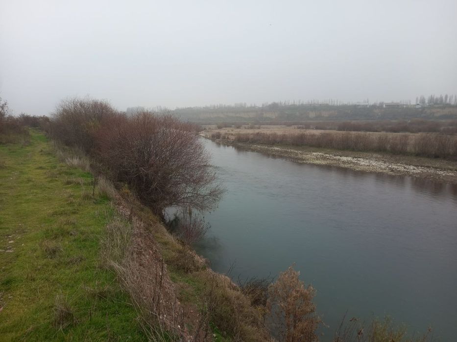 Продам 4гектара на Ташморе вдоль реки