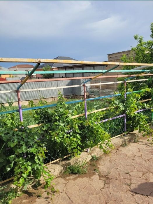 Сдаётся в аренду