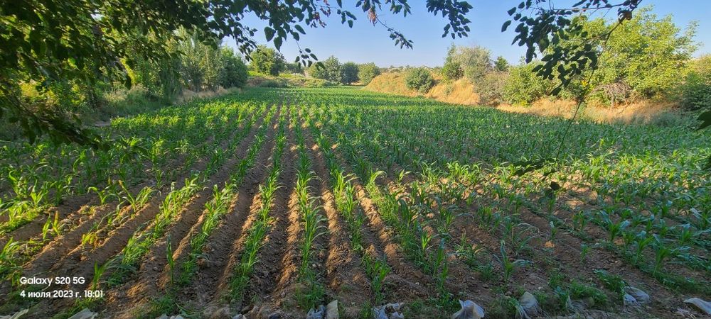 Ер сотилади 35 сотах