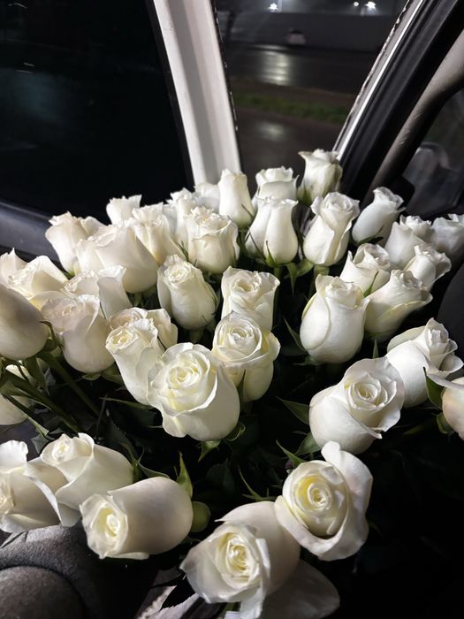 Цветок  шымкент