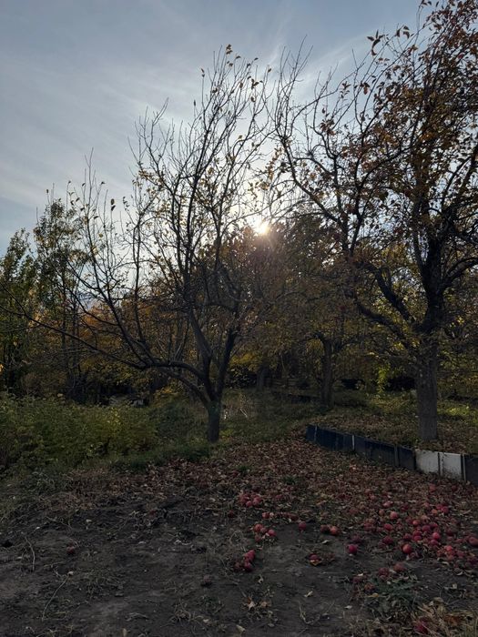 Дача "Обогатитель"