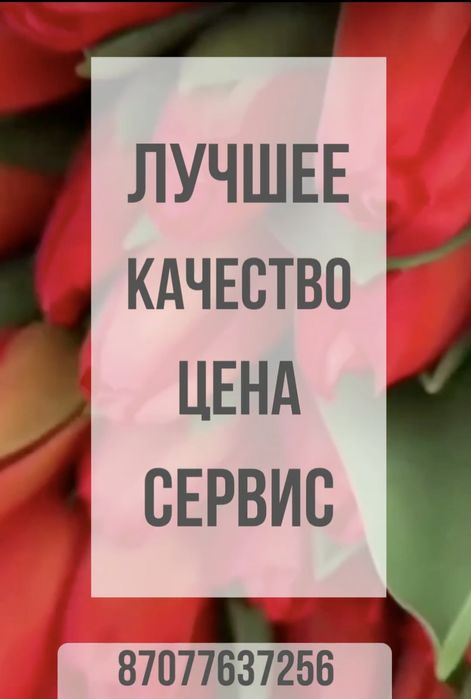 Тюльпаны в розницу