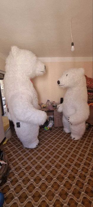 Ayiqlar sotiladi srochna