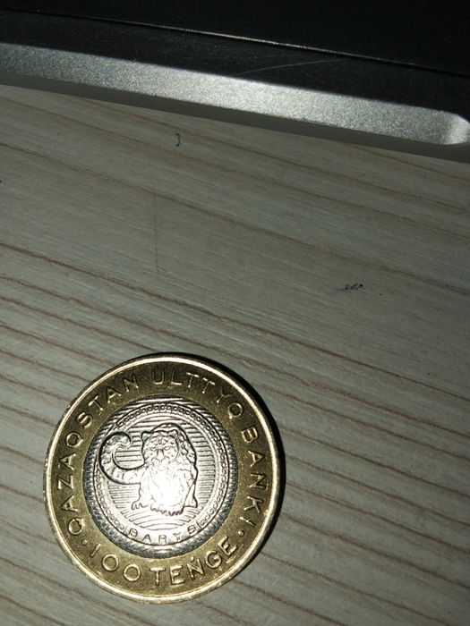 100 тенге с барсом