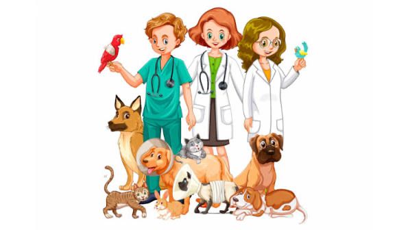 Ветеринар на вызов 24/7