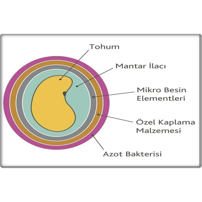 Люцерна семе. Семена Люцерна