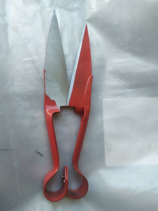 Ножницы для стрижки баранов.