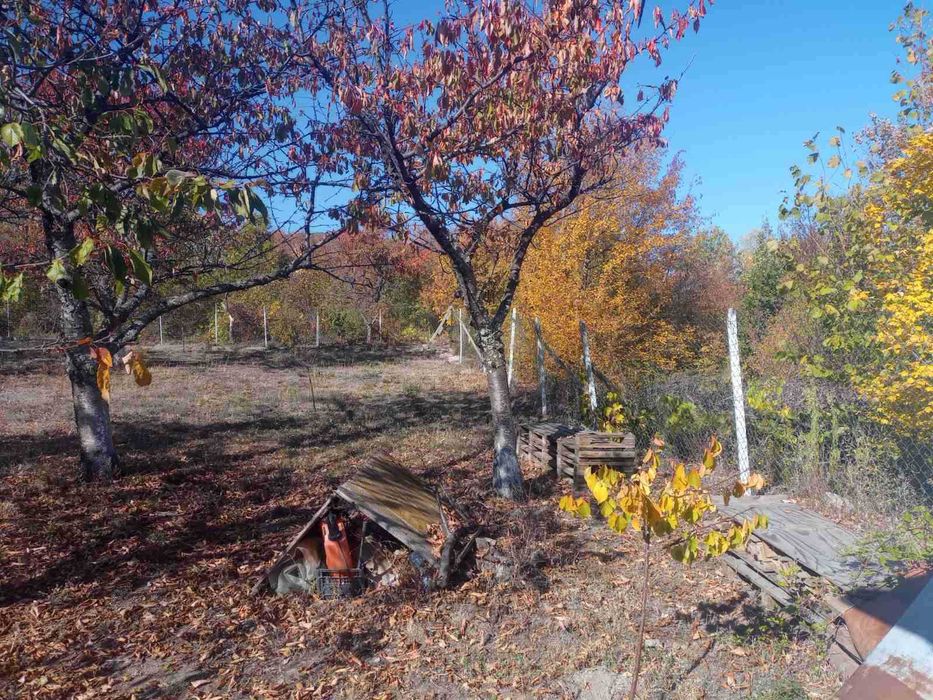 Продава се Къща в с. Паталеница, Област Пазарджик - 22 кв.м за 1500 €/кв.м - Снимка #23