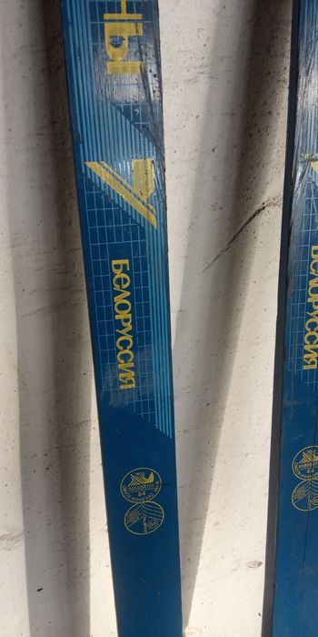 Лыжи , ботинки , палки .