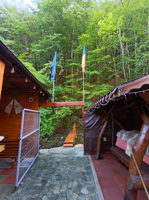 Cabana de închiriat