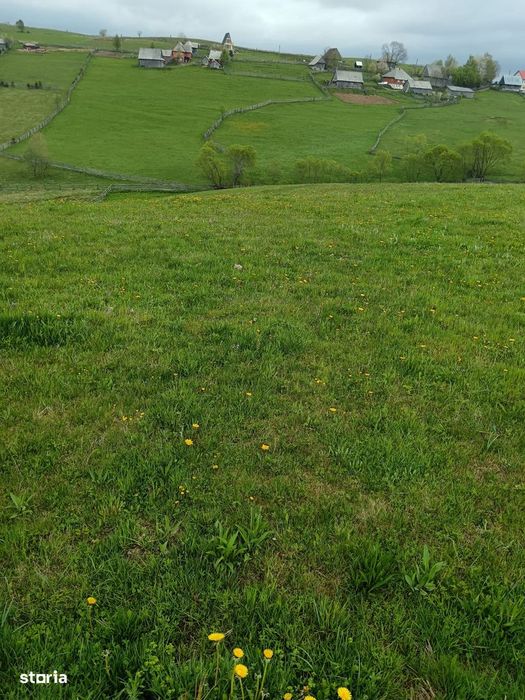 Teren 6000mp Măguri-Răcătău, pârâu, utilități. Schimb Florești