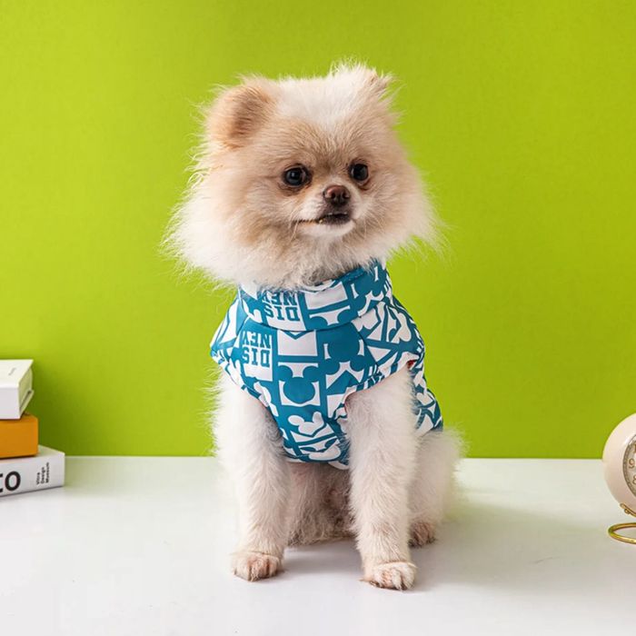 Дрехи, аксесоари и играчки за Вашия малък любимец