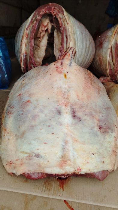 Конина Мясо Байтал