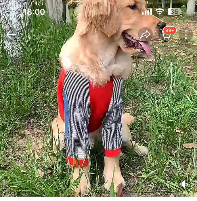 Пуловер/ блуза за куче голяма порода