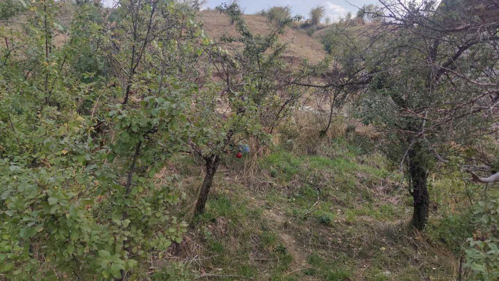 Участок под строительство в Чимгане