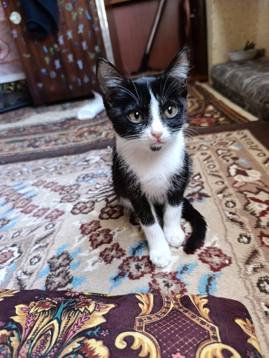 Hadyaga yaxshi qaraydigan insonlarga