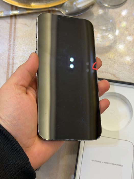 Iphone 13 pro max srochna