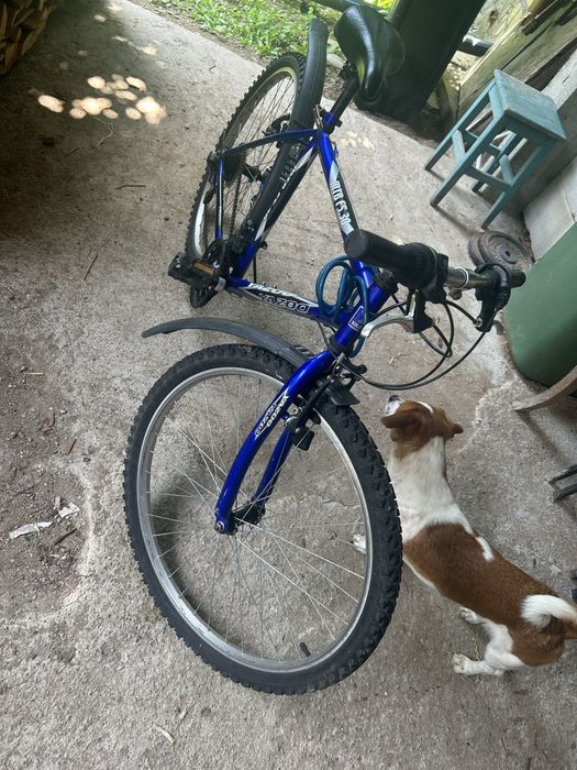 Bicicletă Yazoo Mtb 26”