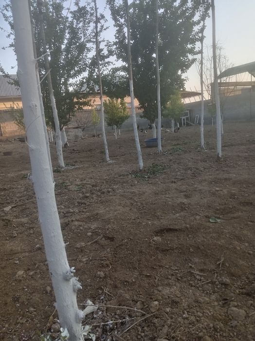 Ер сотилади ТОШМИ постдан 11 км