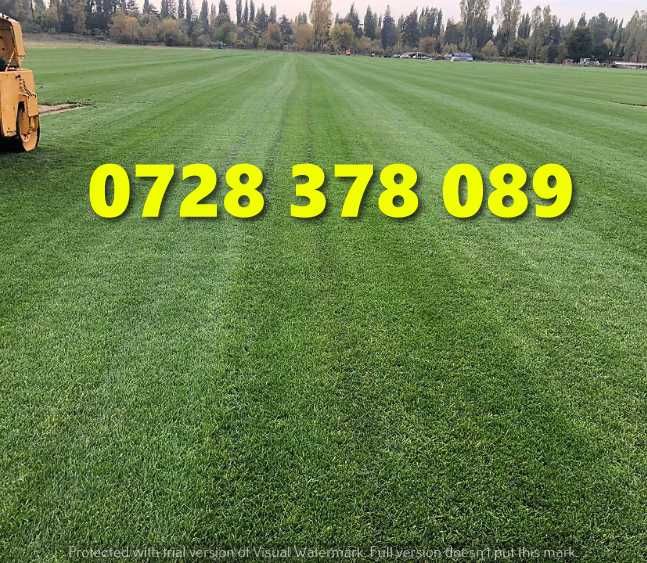 Gazon rulou Sistem de Irigare Oriunde in tara Calitate Extra