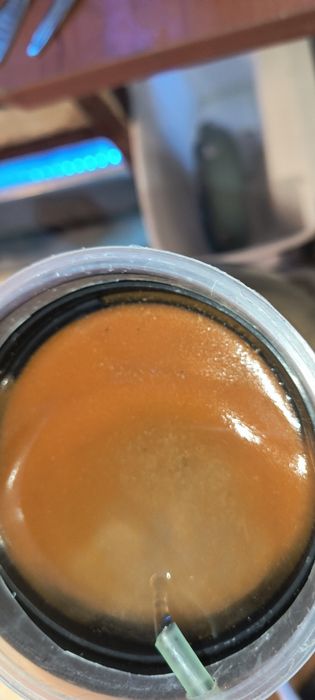 Артемия за люпене