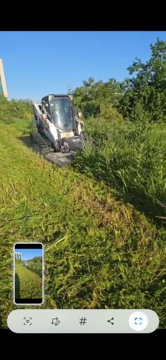 Defrisare Pășuni.  Terenuri evacuare