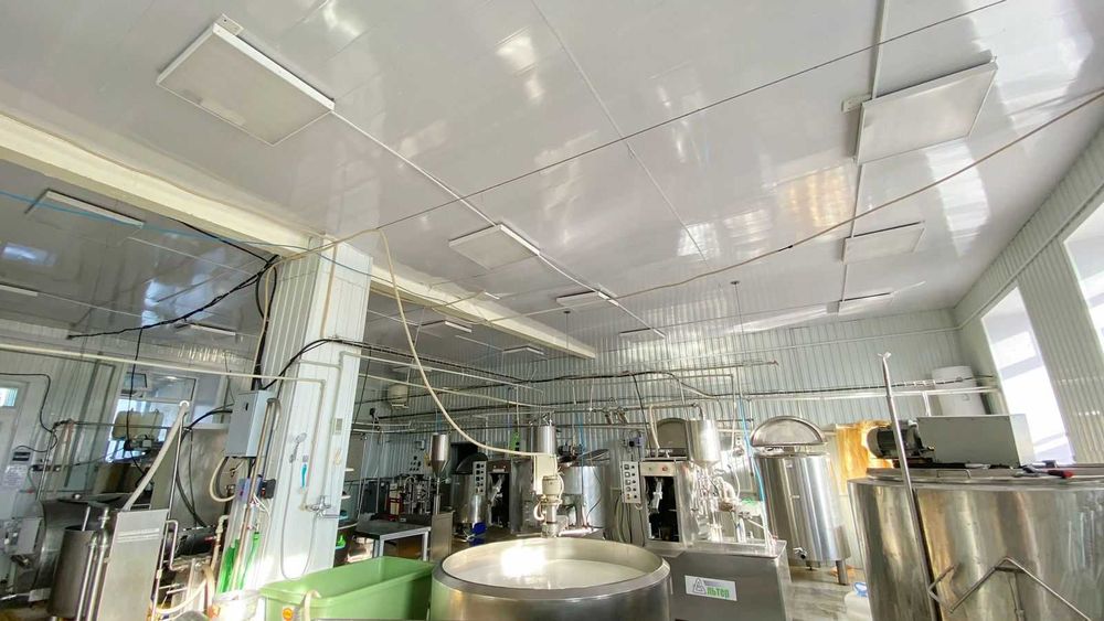 Продается молочный завод