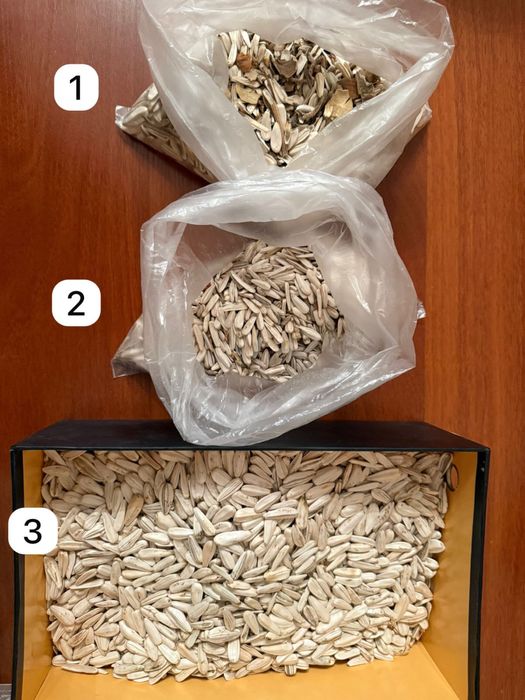 Семечки турецкие белые,  серые 361 сорт