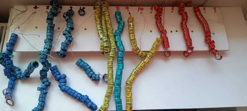 Inele porumbei 2026-FCI cu talon,,FRSC cu talon ,EE, cleme cu și fără