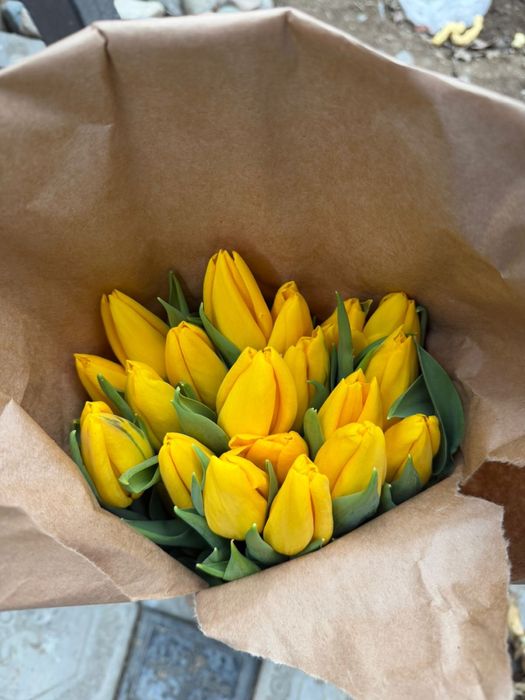 Тюльпаны оптом розница