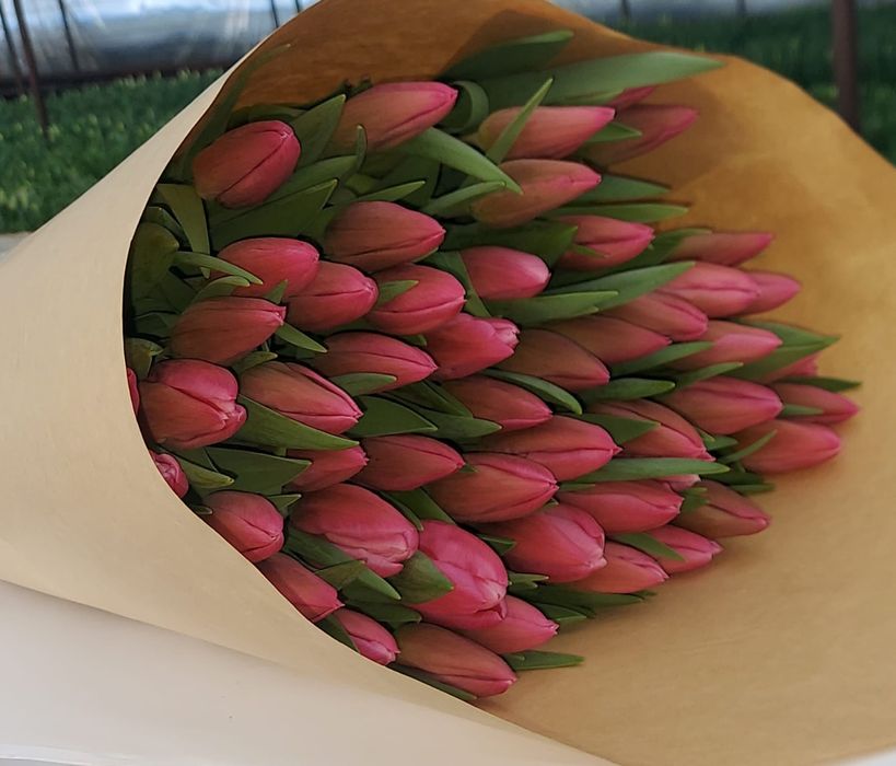 БРОНЬ Тюльпаны на 8 марта