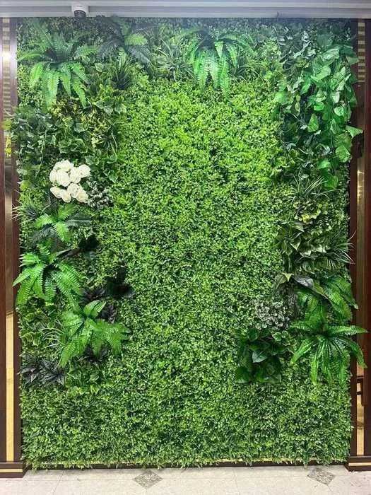 Зелёная стена 40x60 см — растения на стену от дилера