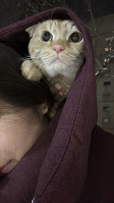 Отдам хорошие руки