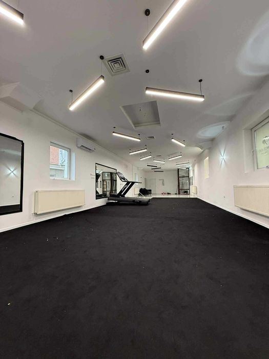 De Inchiriat Seini cental